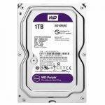 DISCO DURO WESTERN DIGITAL 1TB PURPURA PARA VIDEO VIGILANCIA - WD11PURZ